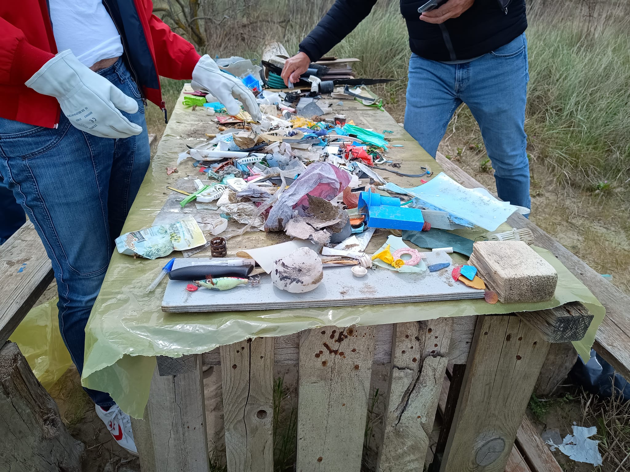 VLPF monitora i rifiuti spiaggiati presso l’oasi WWF degli Alberoni (Lido) Venezia